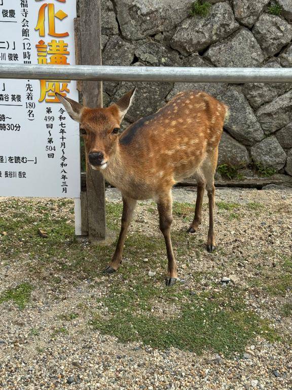 いおりpicture